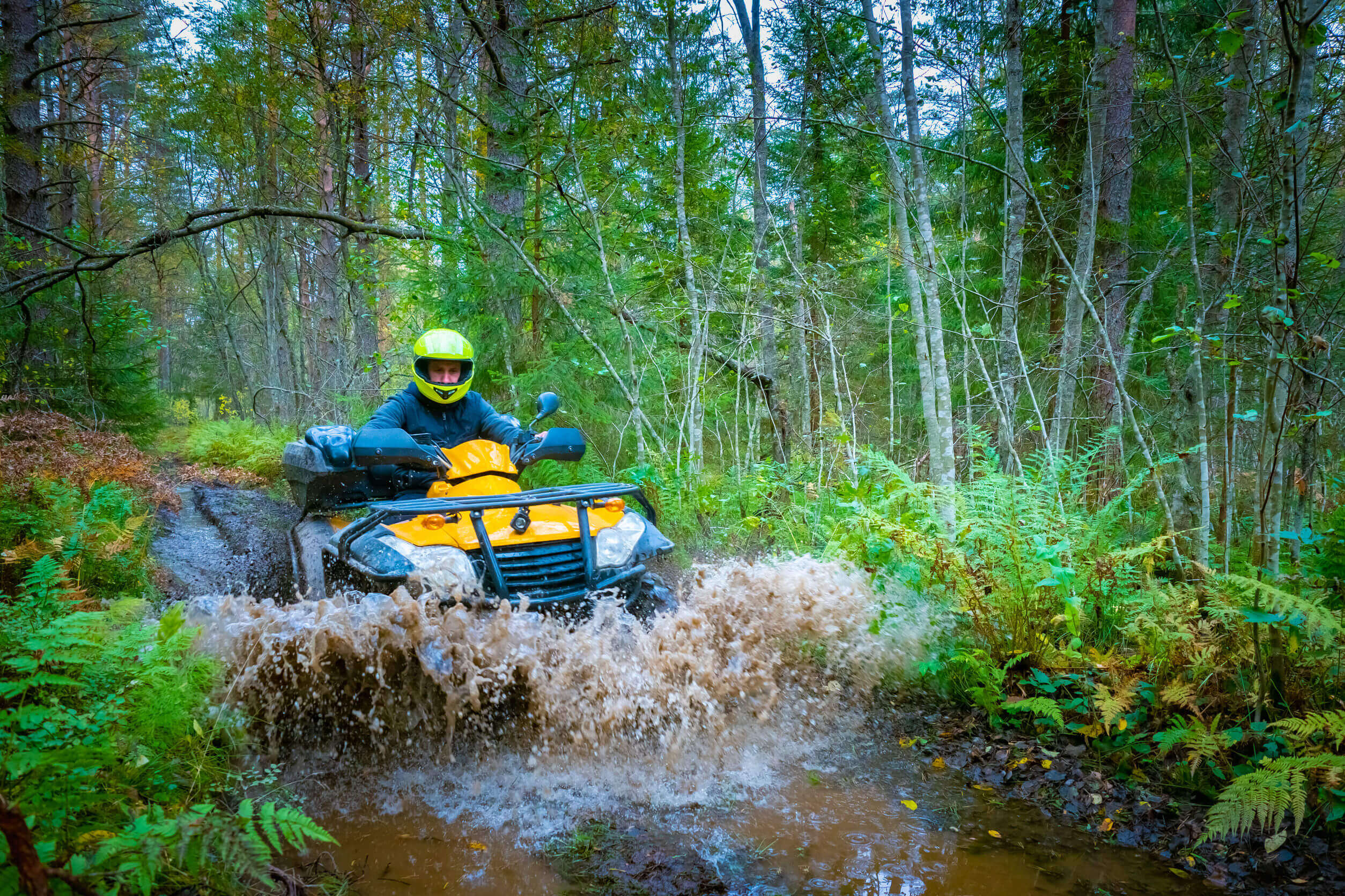 ATV Insurance Quotes - , Long... - Charles Tomberlain Insurance Agency